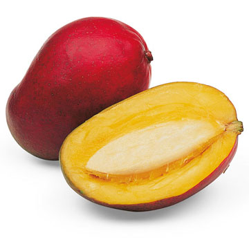 Μείγμα για  σορμπέ - γρανίτα μάνγκο 500