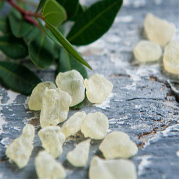 Γεύση παγωτού μαστίχα Mastic