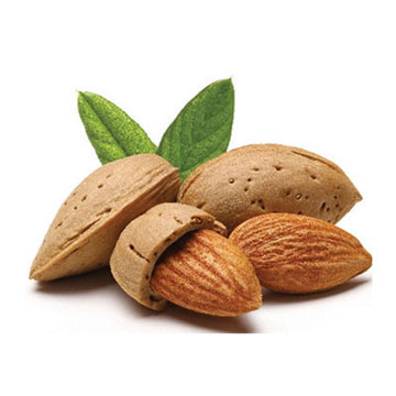 Εσάνς - άρωμα πικραμύγδαλο